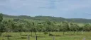 10-Hektar-Bauernhof mit Bio-Olivenplantage, Route 39